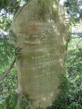 image of grave number 492360